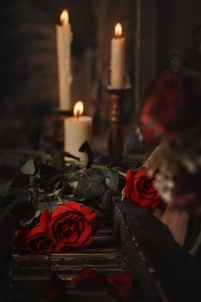 Photograph by Tania Kul