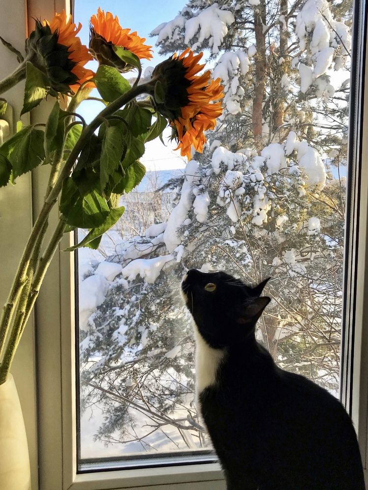 Photograph by Мария Шрейдер