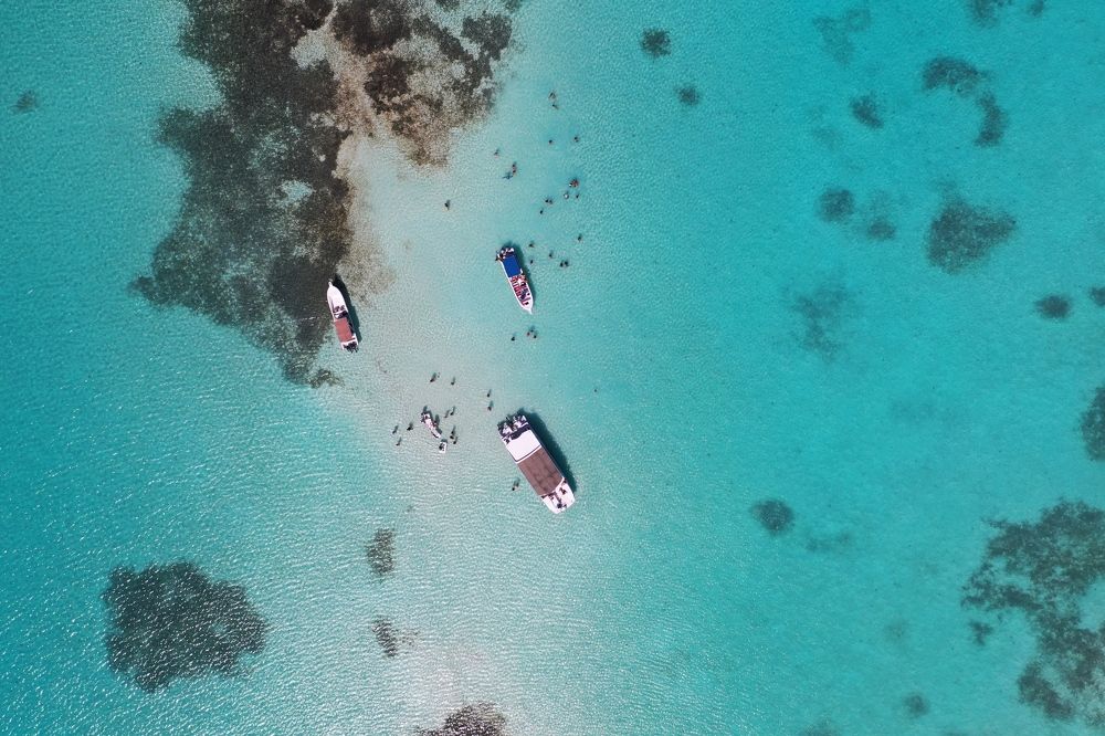 Photograph by Tatiana Kravchuk