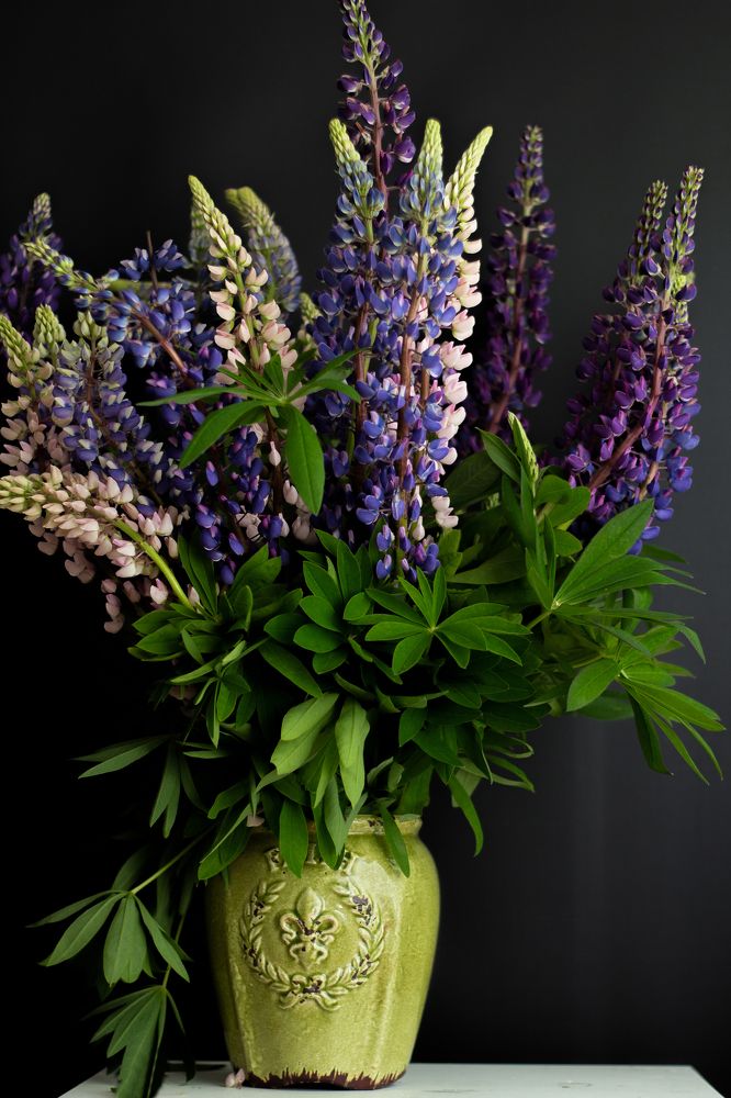 Photograph by Наталья Семенкова