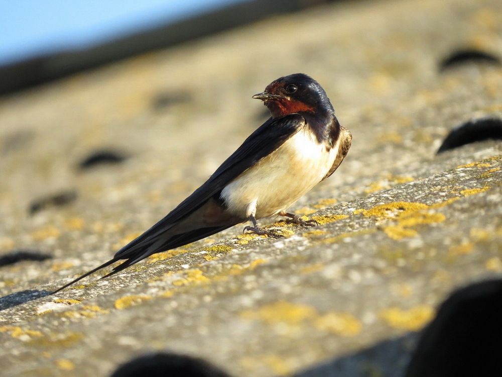 Photograph by Евгений Скляр