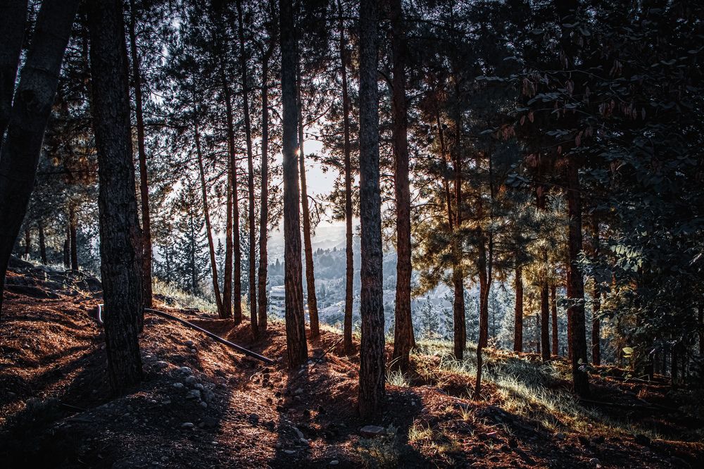 Photograph by Shahreyar Shybanie