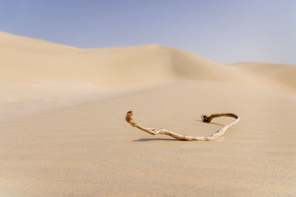 Photograph by Vladimir Kulikov