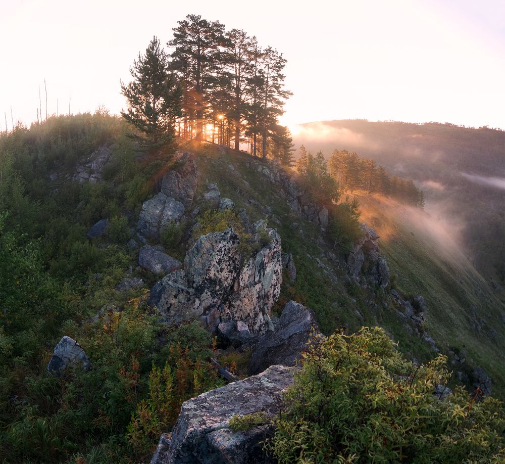 Photograph by Портных Дмитрий