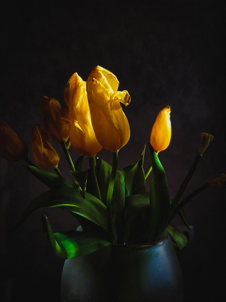 Photograph by Александра Кропивка