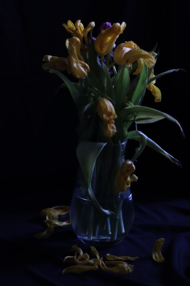 Photograph by Алеся Бобкова