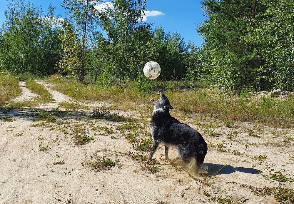 Фотография автора Надежда Лисицына