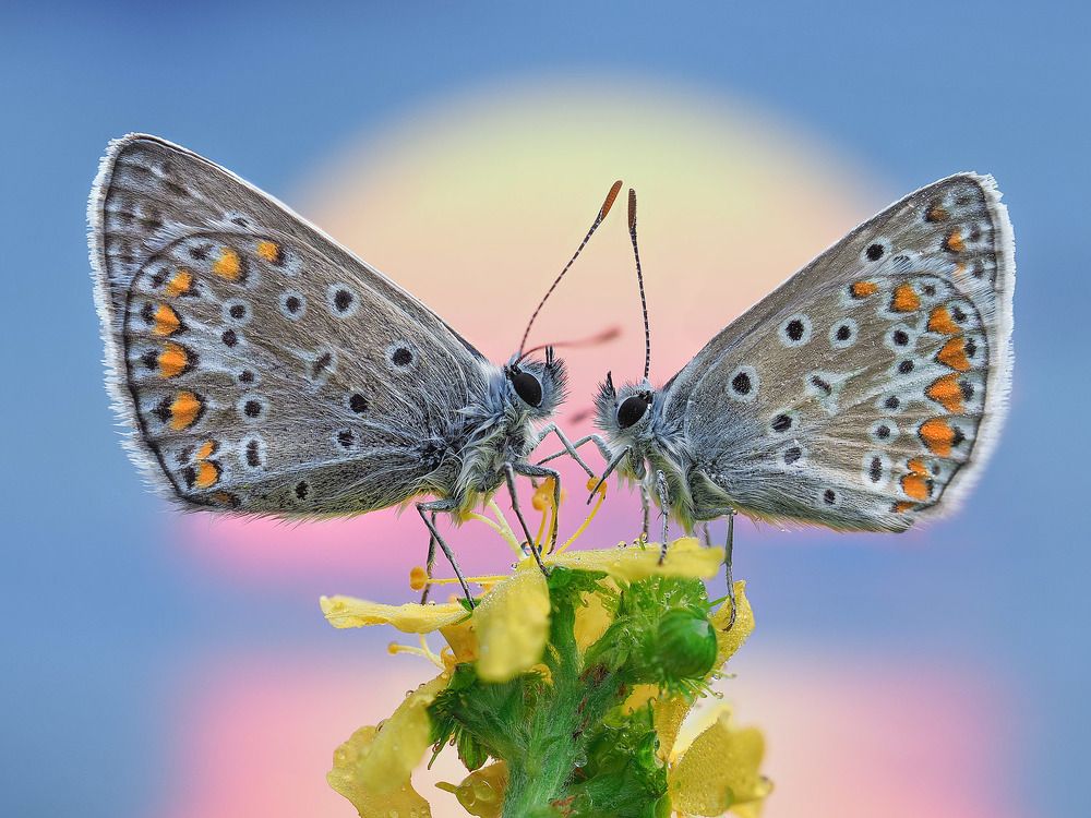 Photograph by Лукашук Евгений