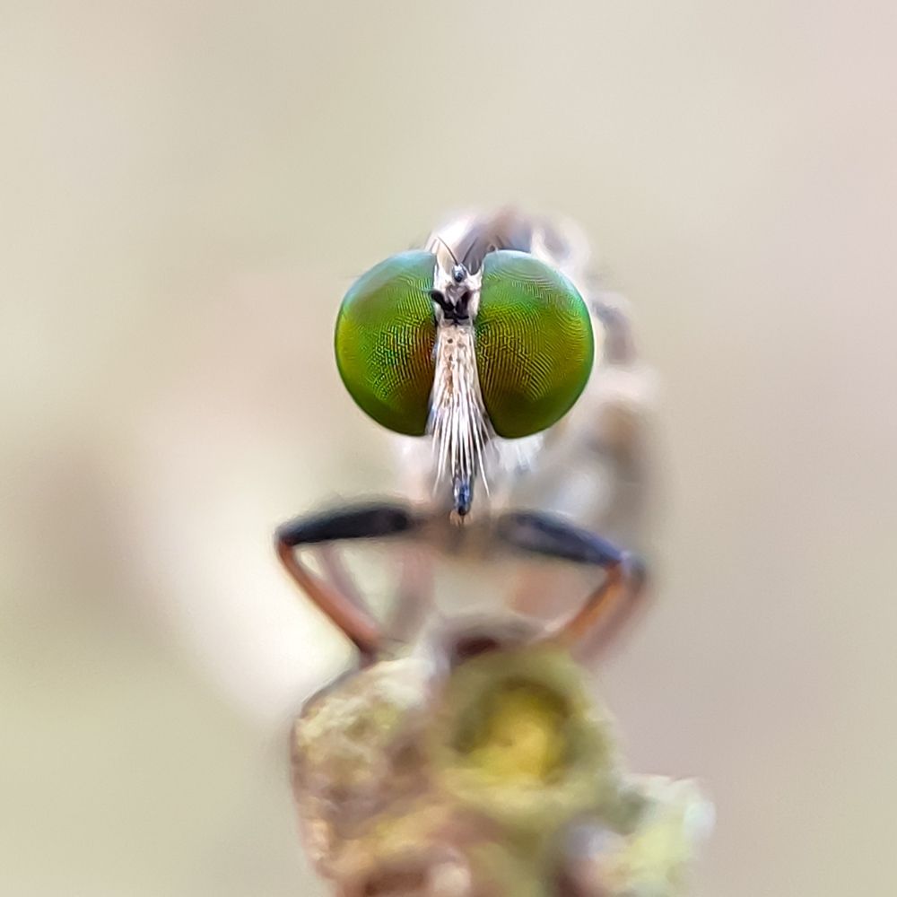 Photograph by Subhadeep Tunga