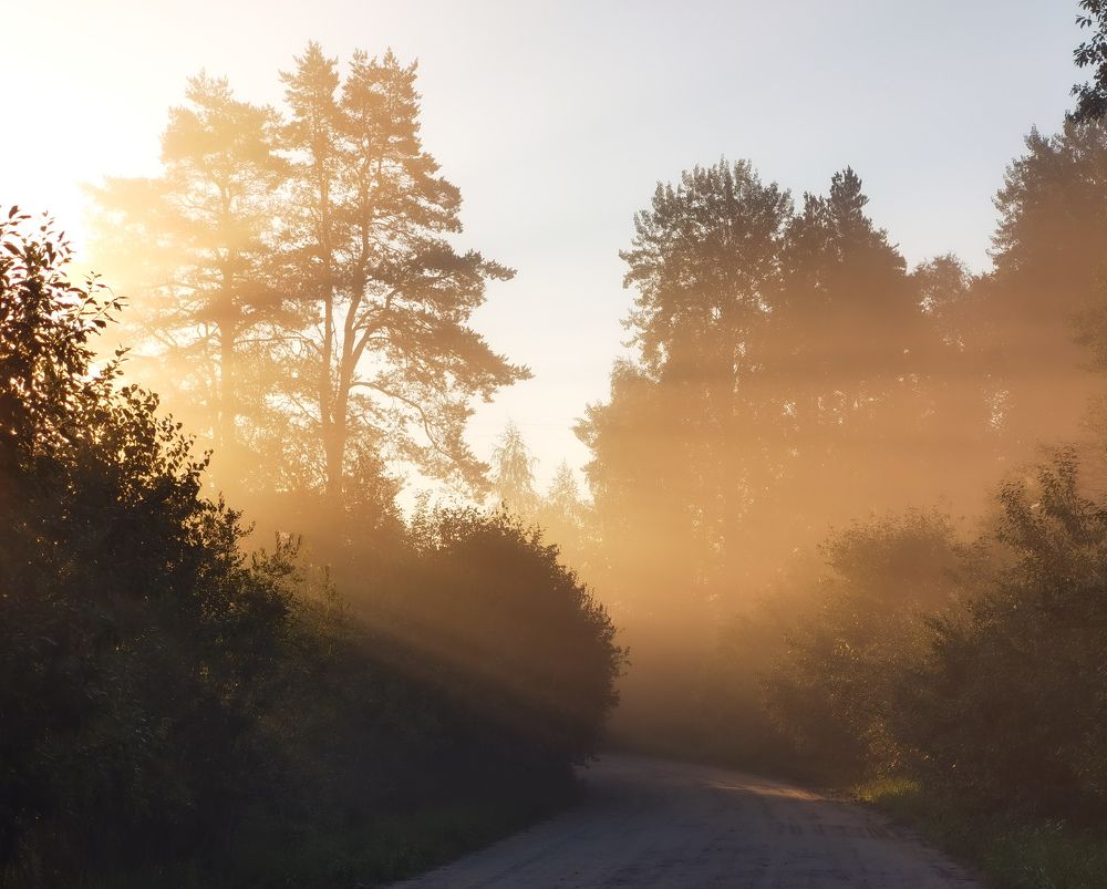 Photograph by Дарья