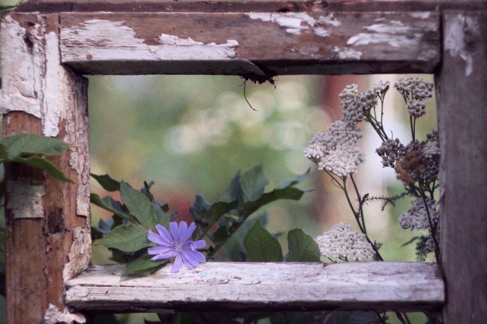 Photograph by Татьяна Аршинова