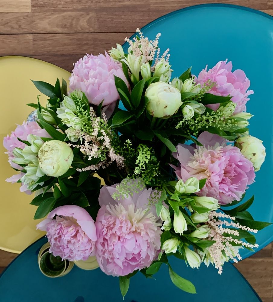 Photograph by Christine ECHEVET-ADAM de VILLIERS