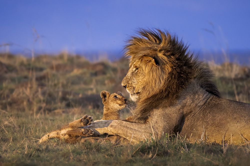 Photograph by Jayakumar MN