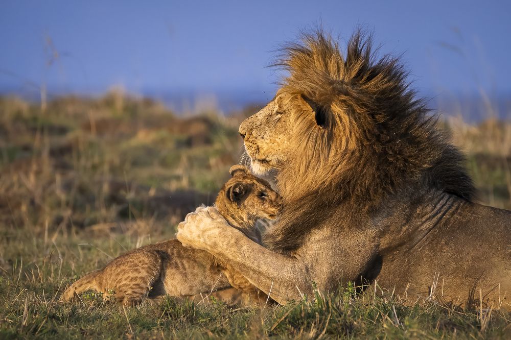 Photograph by Jayakumar MN