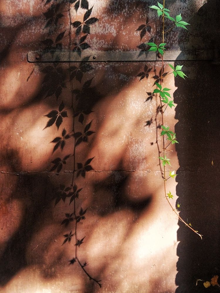 Photograph by Николай