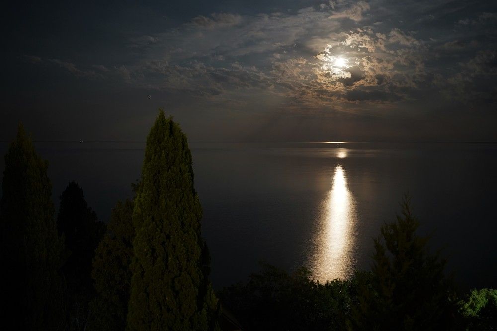 Photograph by Любовь