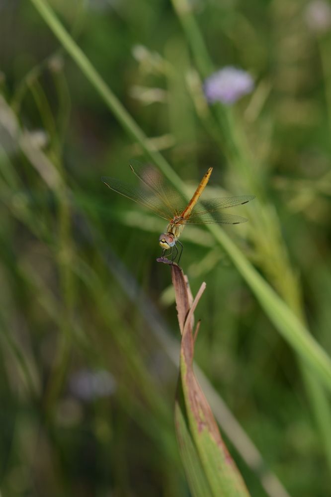 Photograph by Aleksey