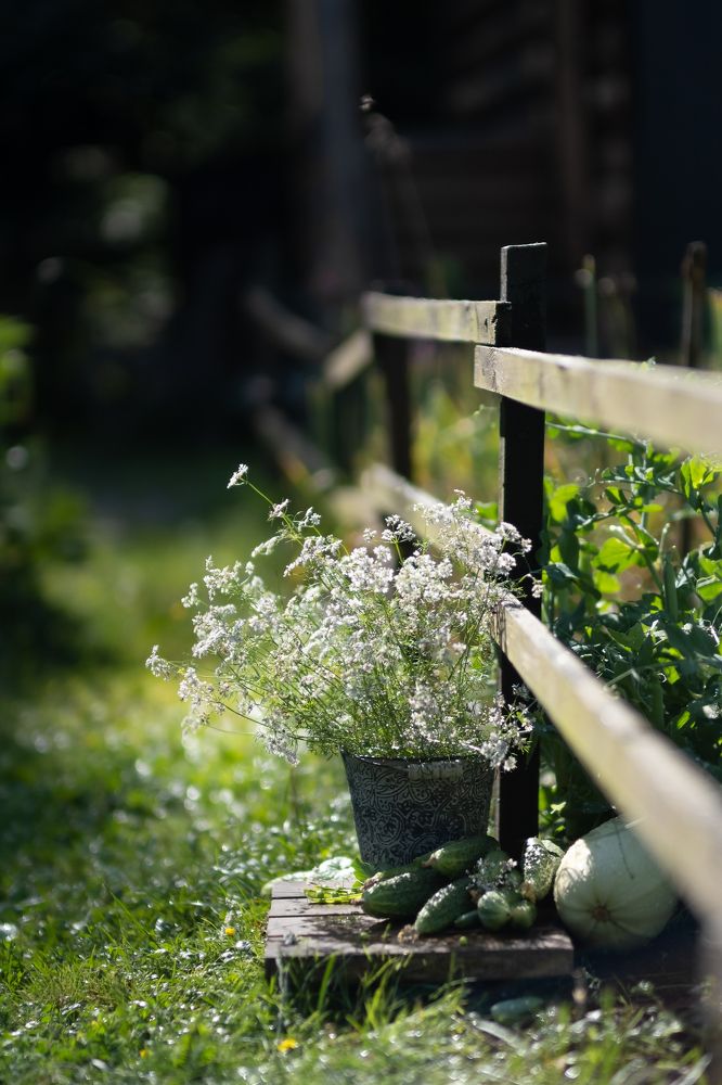 Фотография автора Maria Efremova