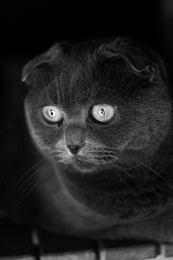 Photograph by Анастасия Романова