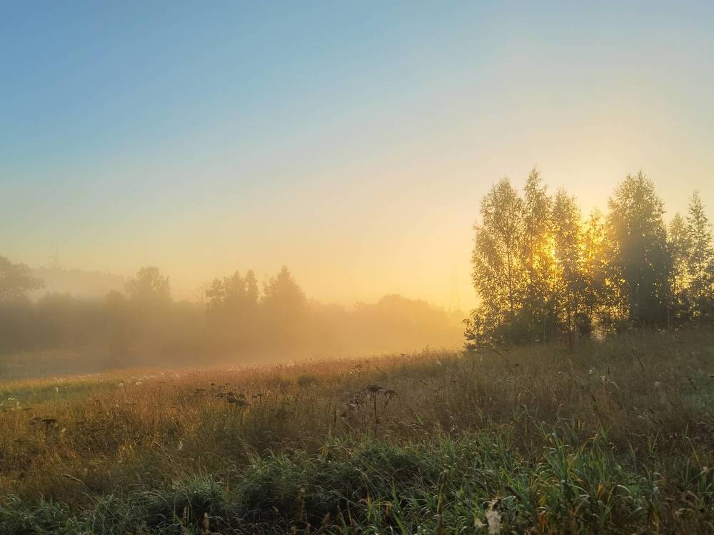 Photograph by Дарья