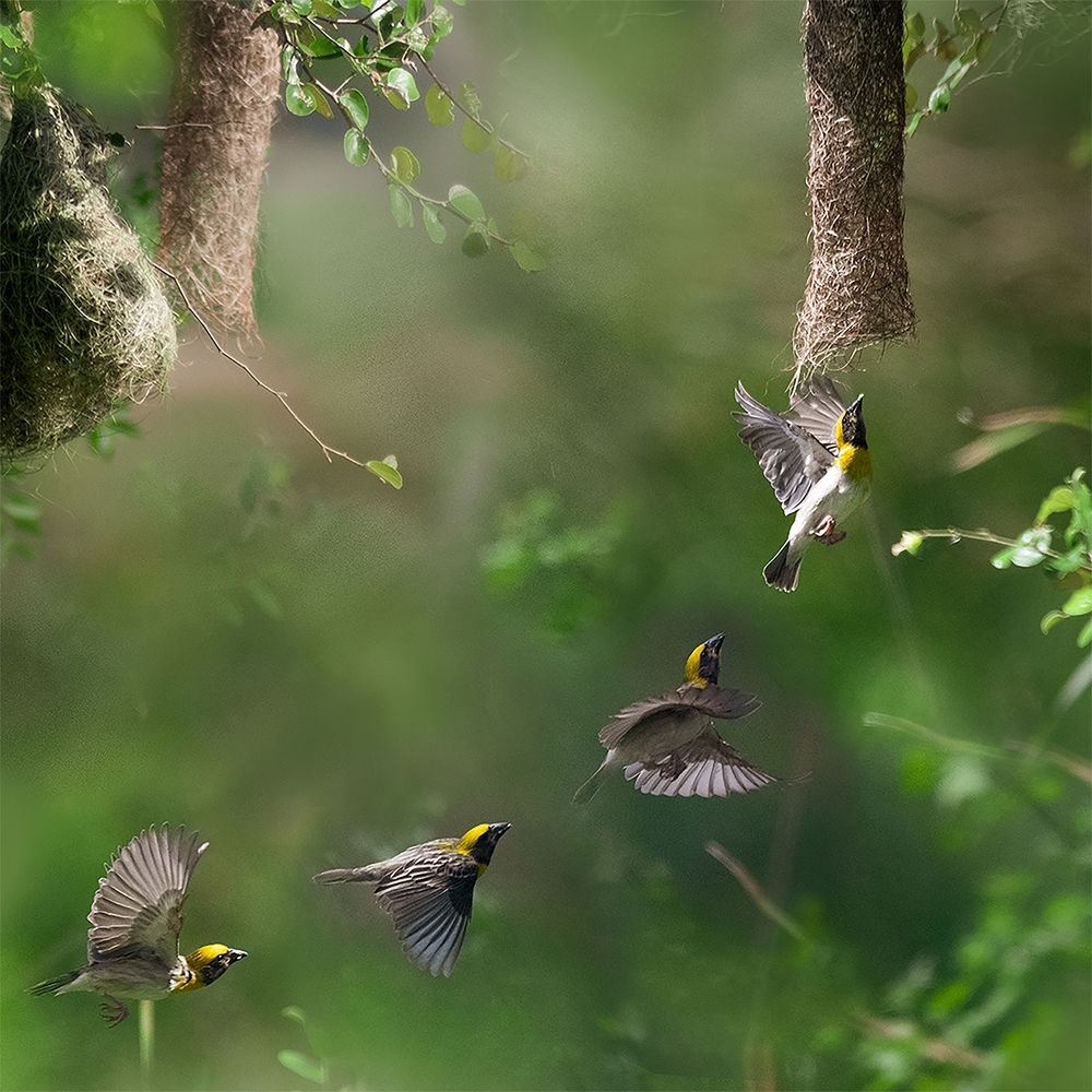 Photograph by Thuvarakan Amirthalingam