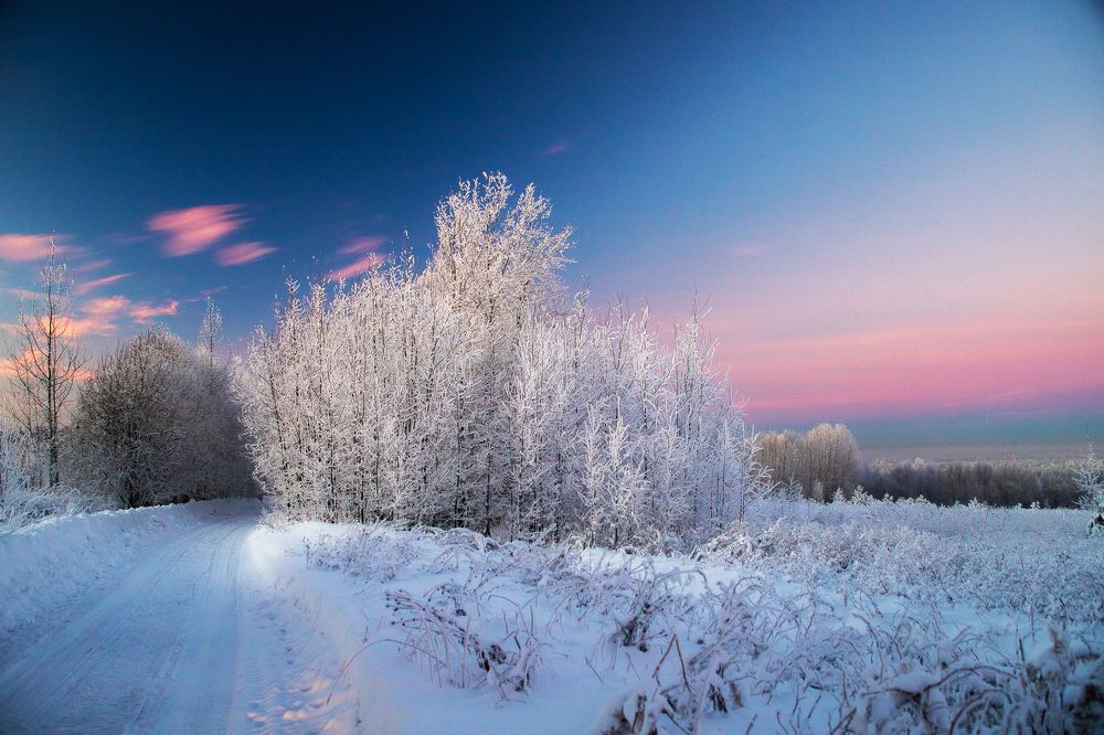 Фотография автора Панагушин Сергей