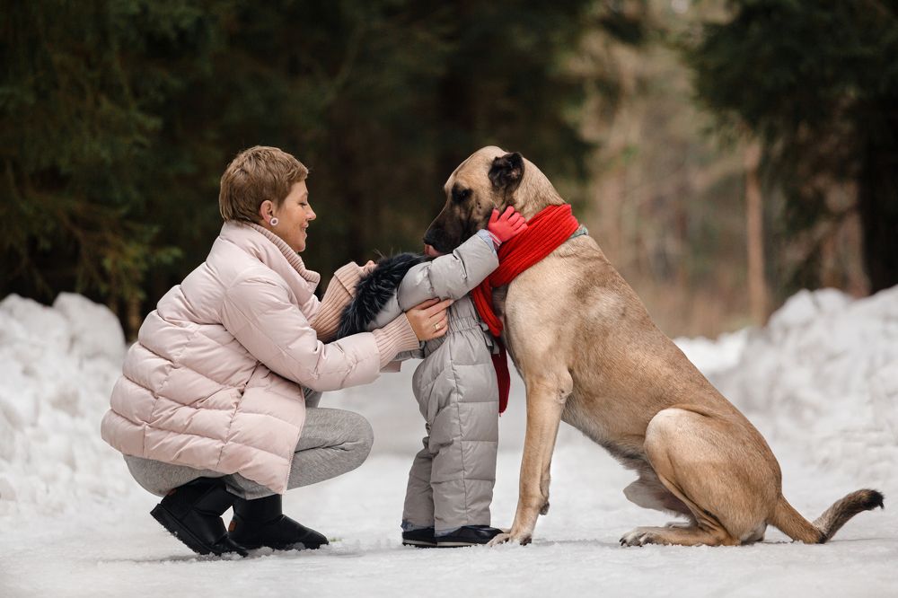 Photograph by Татьяна Степанова
