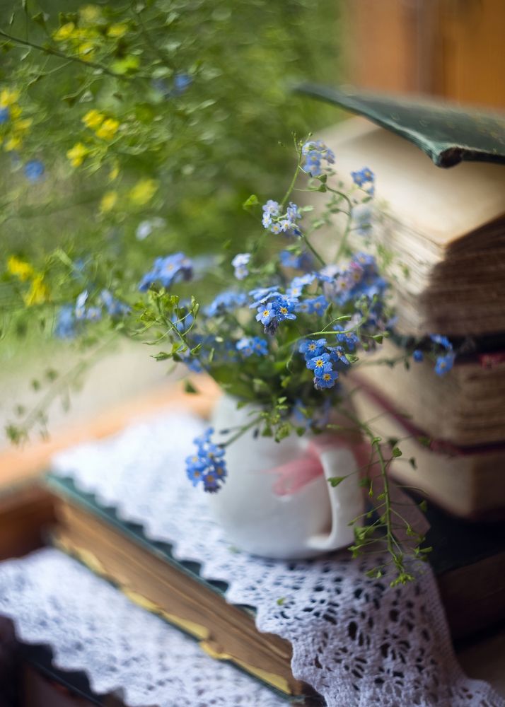 Незабудковое утро