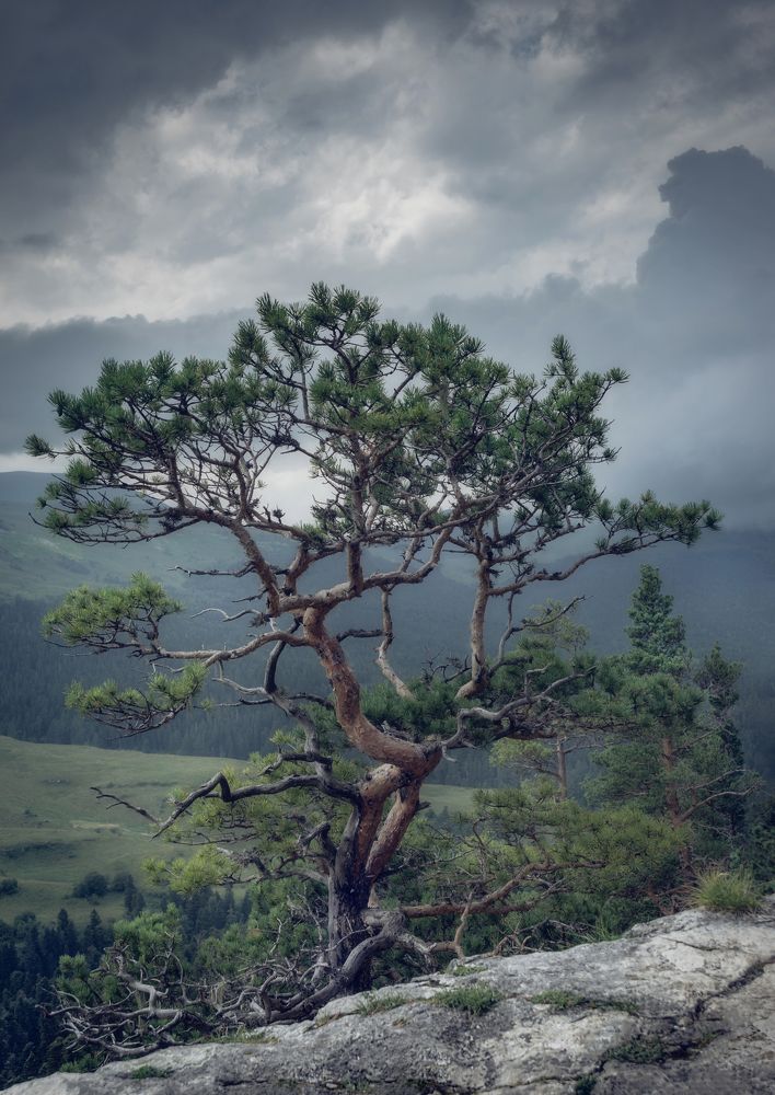 Фотография автора Константин Яковлев