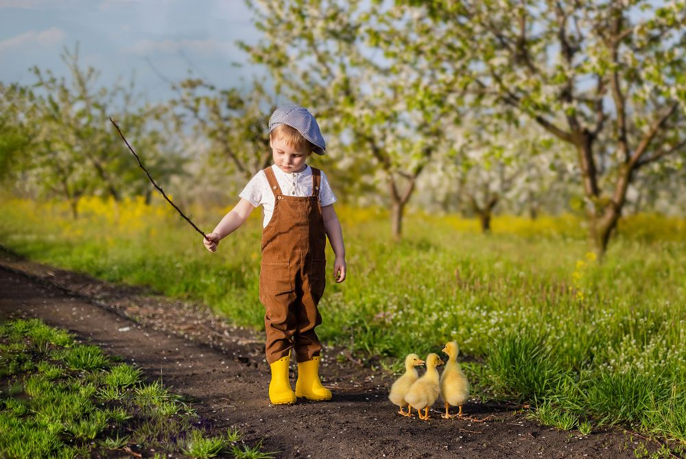 Фотография автора Шатова Ольга