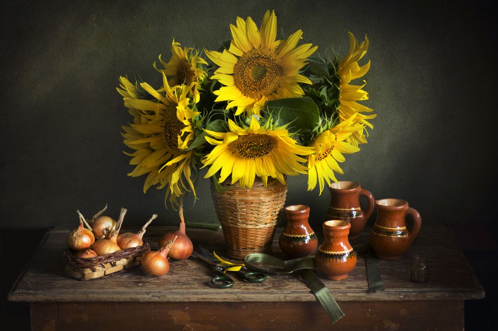 Photograph by Лионелла Зимина