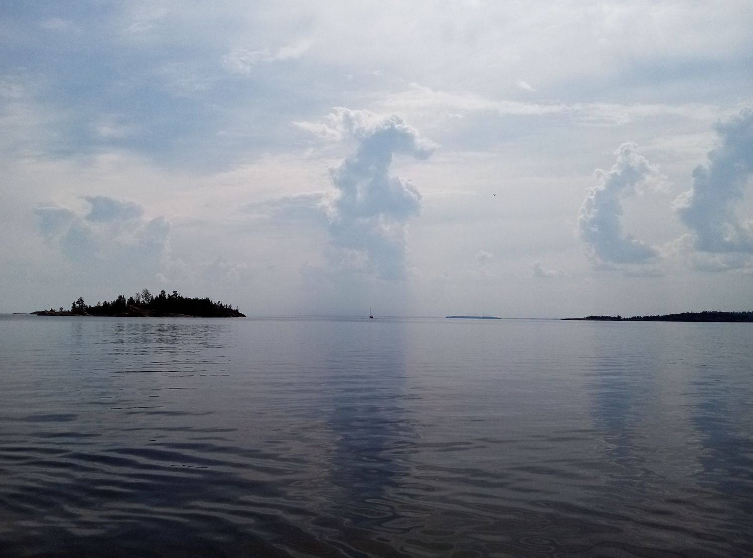 Photo #7922192