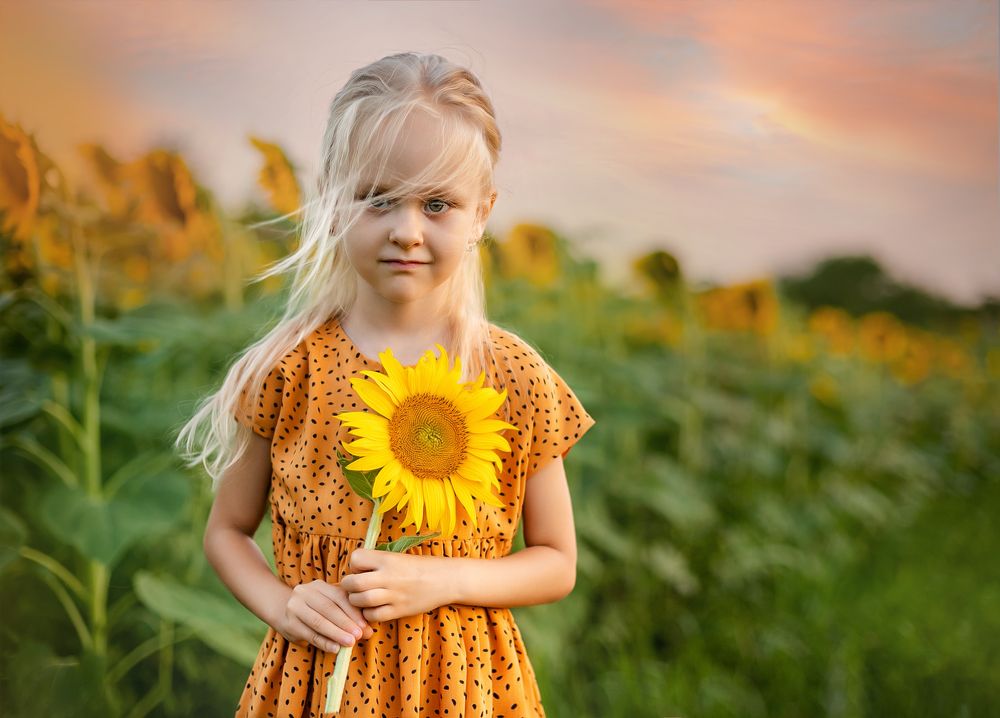 Фотография автора Ольга Шатова