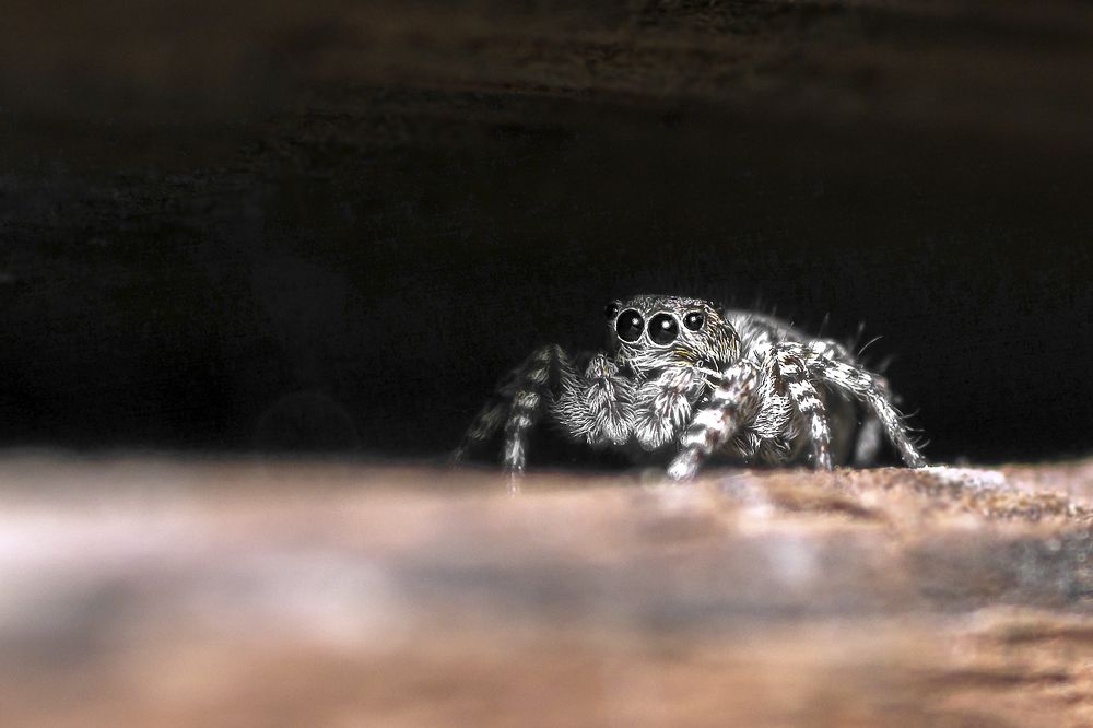 Photograph by Виктор Степанов