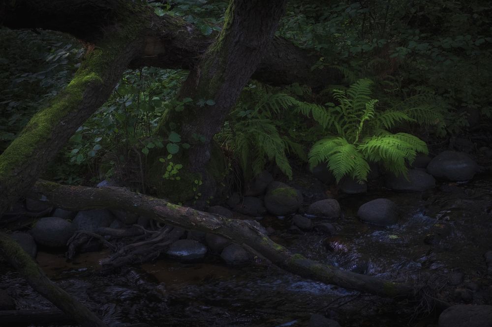 Photograph by Светлана Краюшкина