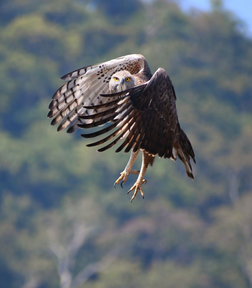 Photograph by sumit Satapathy