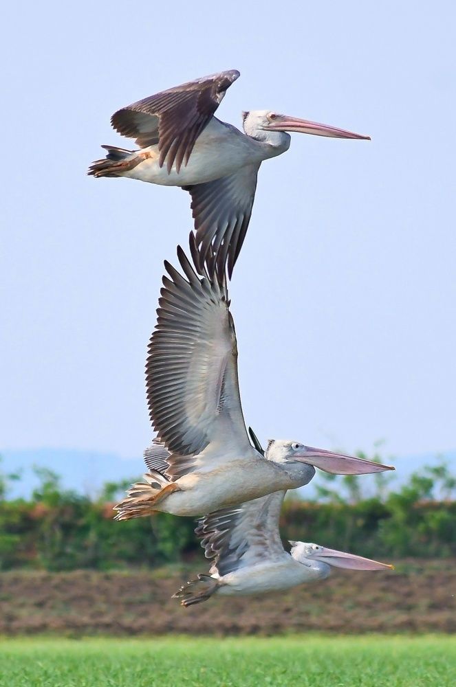 Photograph by sumit Satapathy