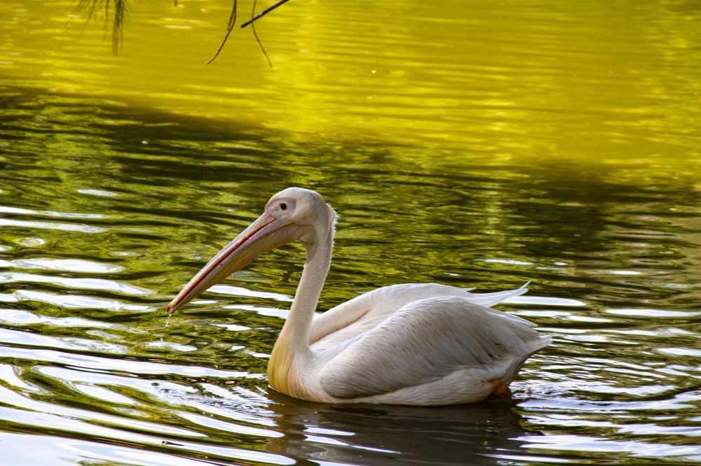 Photograph by Байтальский Андрей