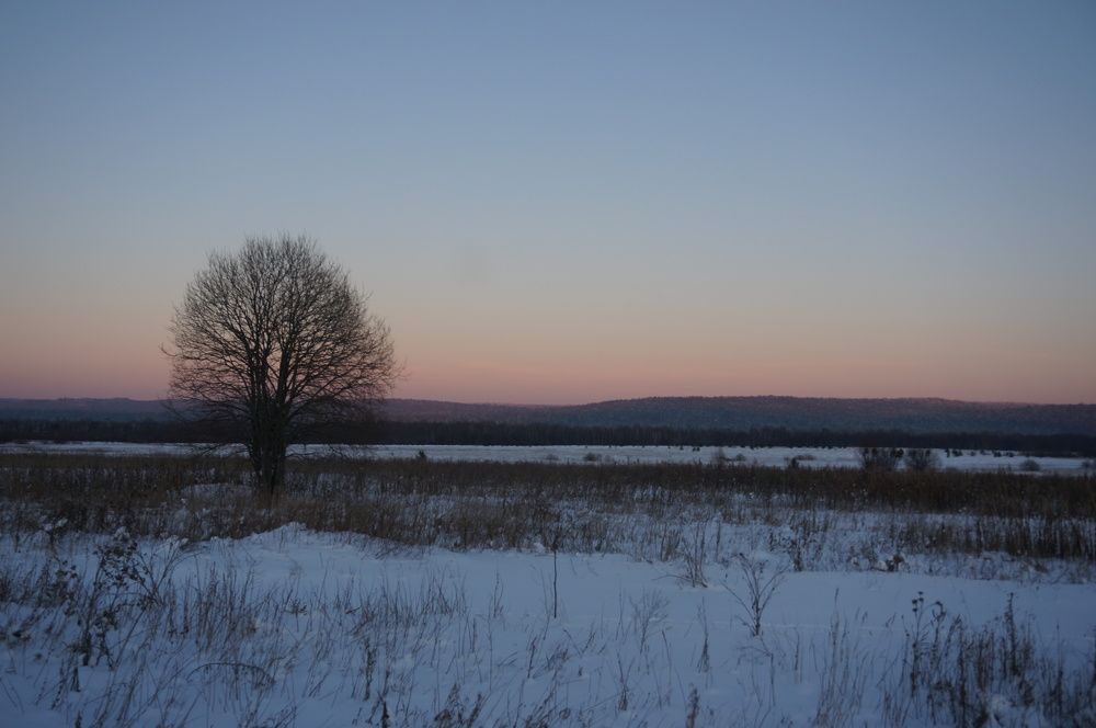 Photograph by Александр Райсон