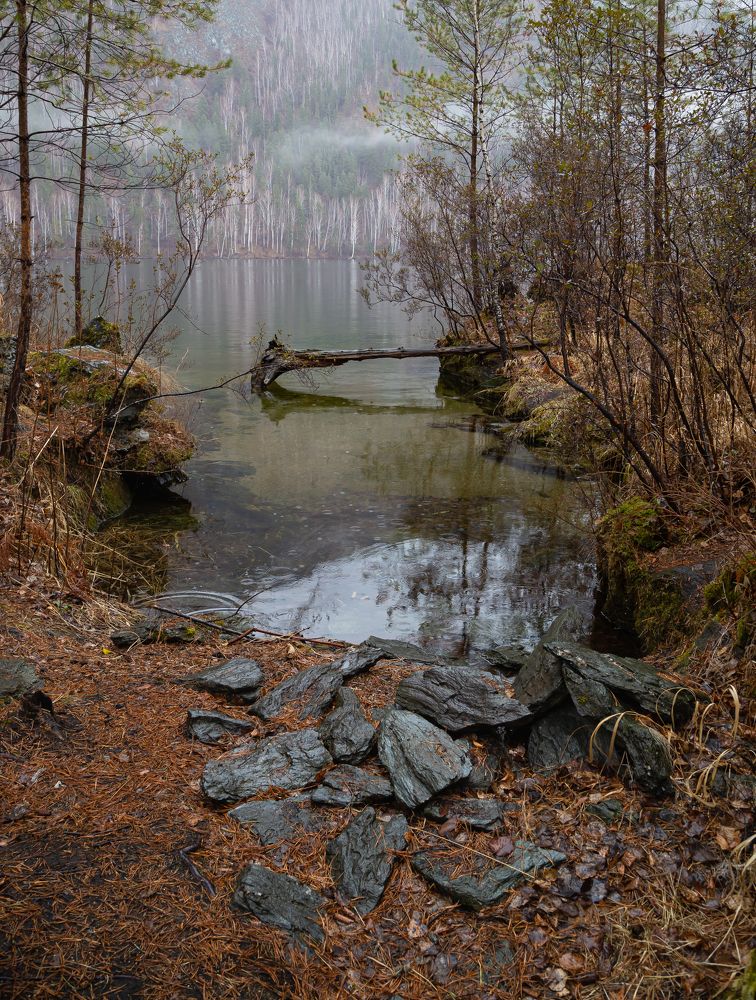 Photograph by Марина Новожилова