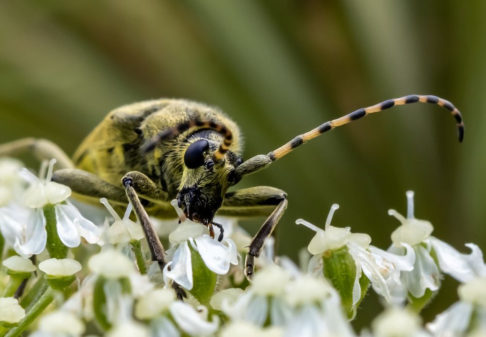 Photograph by Марина Новожилова
