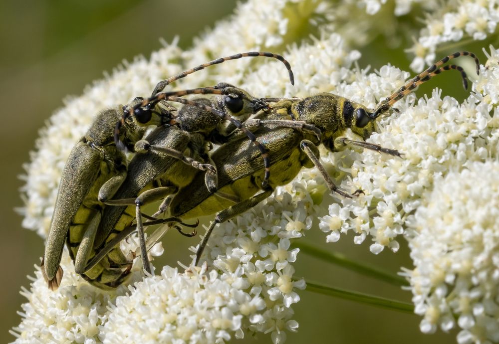 Photograph by Марина Новожилова