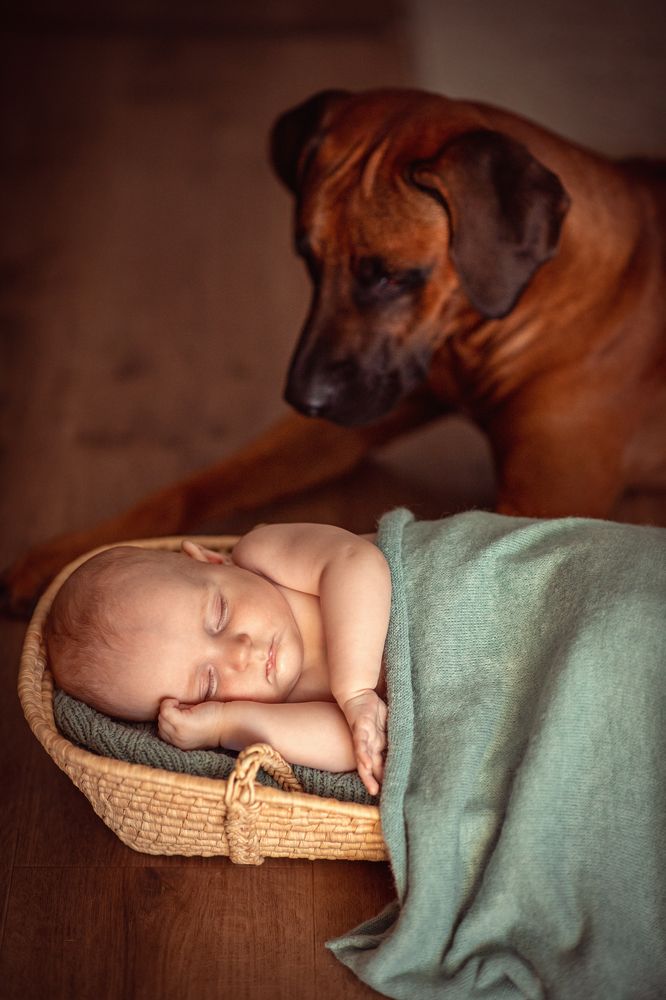 Photograph by Natalie Friesen