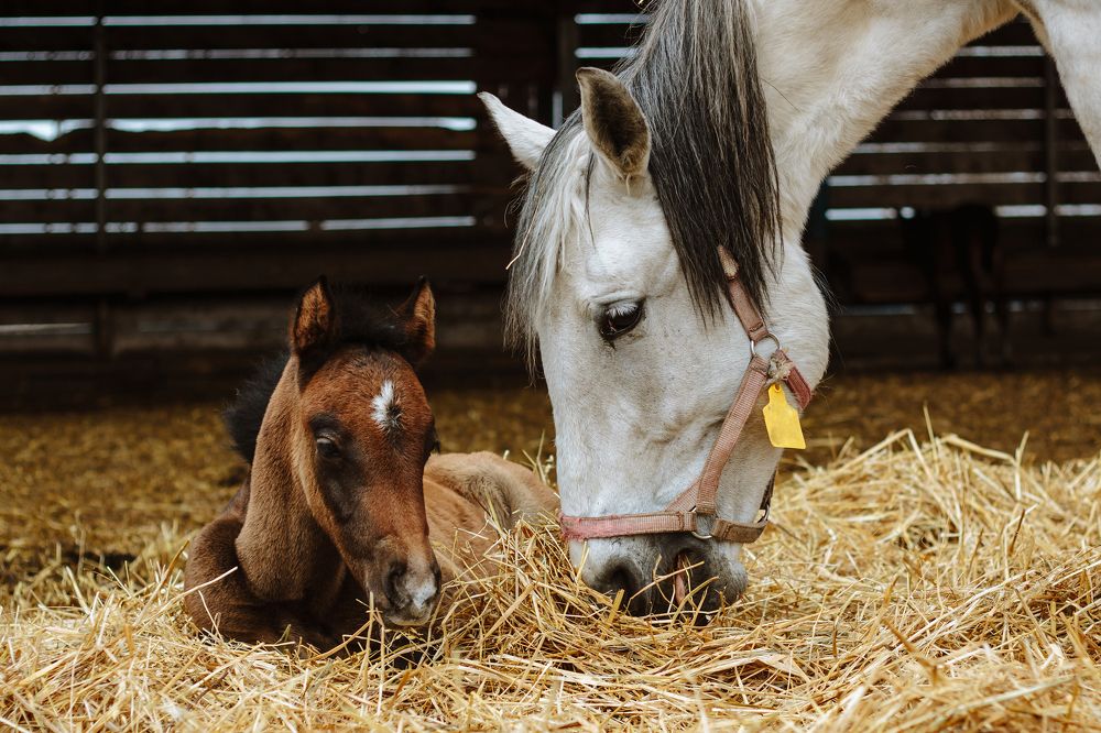 Photograph by Yulia Orina