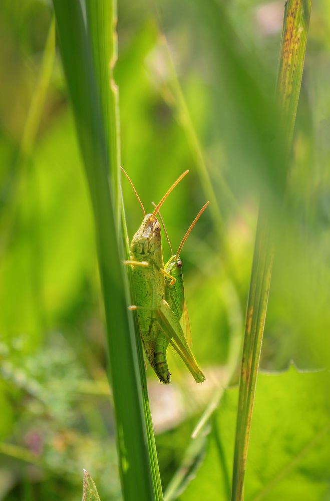 Photograph by Наталья Иванова