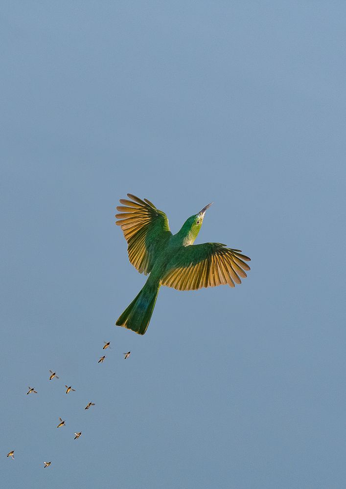Photograph by dinesh mishra
