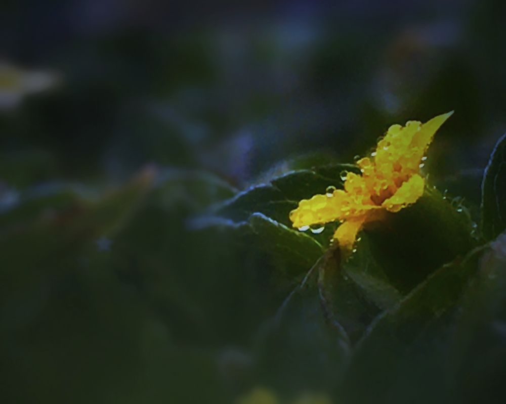 Photograph by Aklimay Sajor