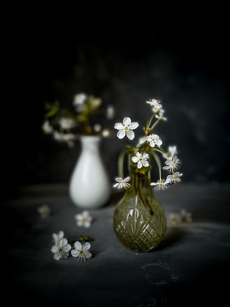 Photograph by Людмила Казак