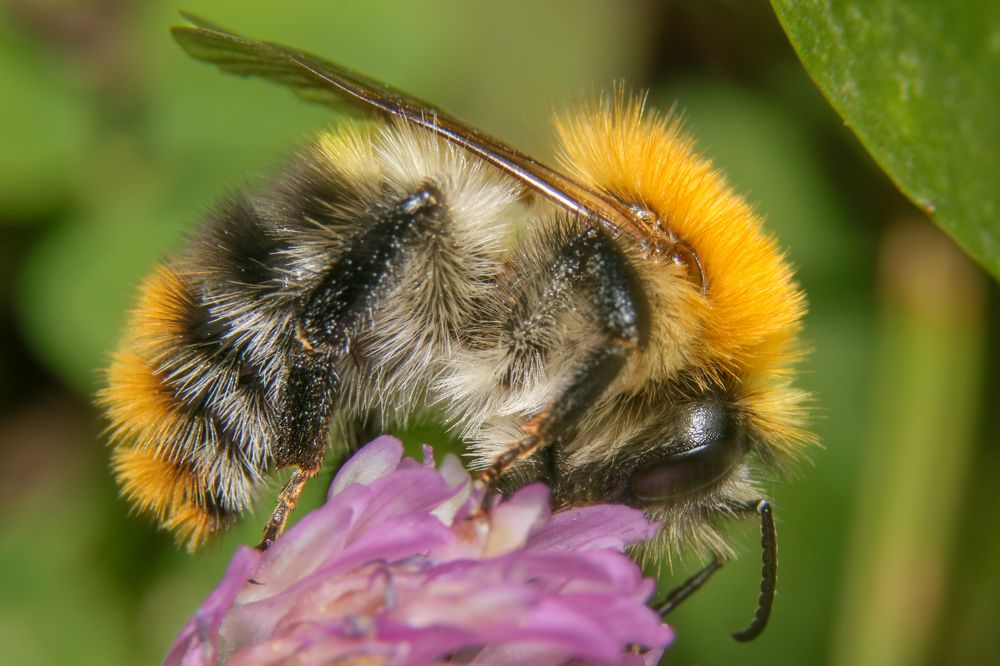 Photograph by Gregor Kobilica