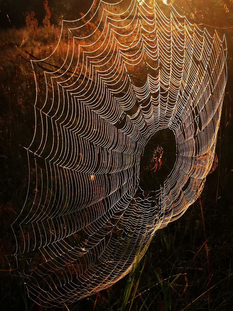 Photograph by Горбова Юлия